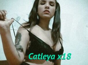 Catleya_x18