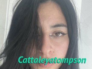 Cattaleyatompson