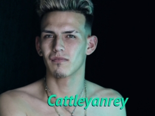 cattleyanrey Gratis Camsex