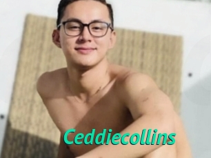 Ceddiecollins