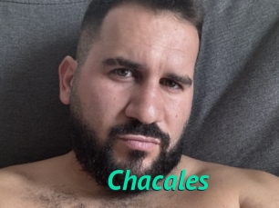 Chacales