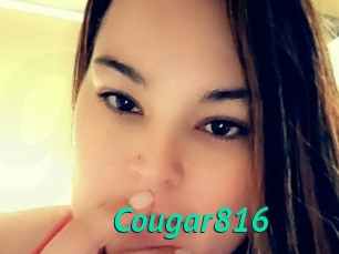 Cougar816