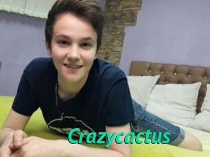 Crazycactus