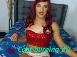Crist_burning_20
