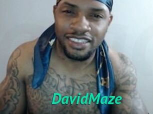 David_Maze
