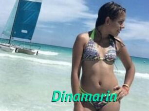 Dinamarin
