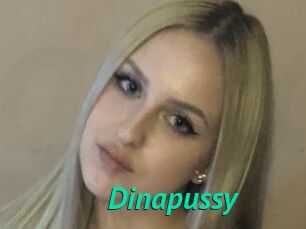 Dinapussy