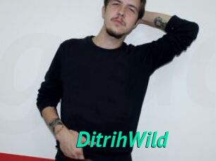 DitrihWild