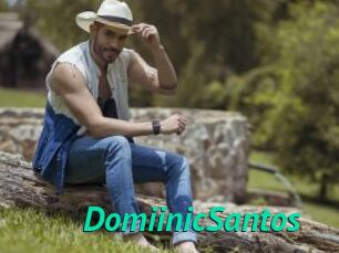 DomiinicSantos