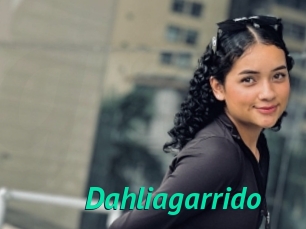 Dahliagarrido