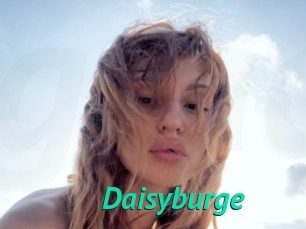 Daisyburge