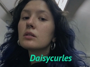 Daisycurles
