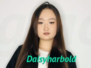 Daisyharbold