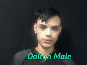 Dalton_Male