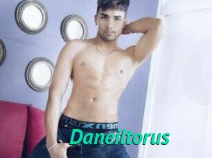 Daneil_torus