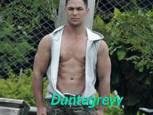 Dantegreyy
