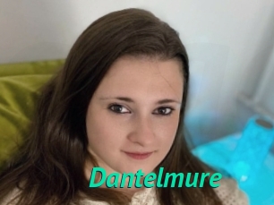Dantelmure