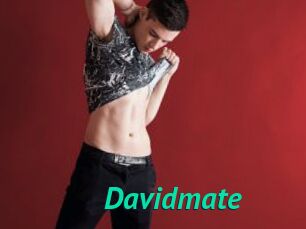 Davidmate