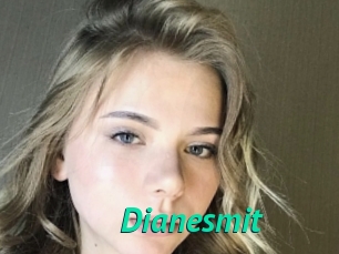 Dianesmit
