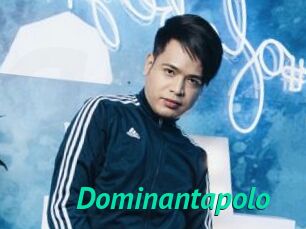 Dominantapolo