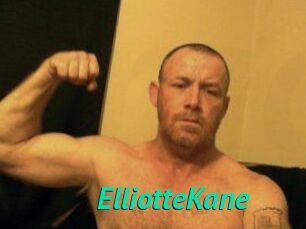 Elliotte_Kane