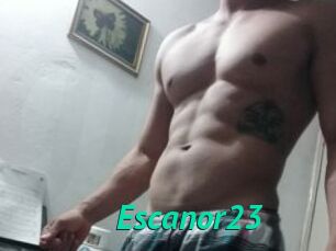 Escanor23