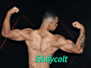 Eddycolt