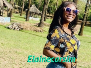 Elainecarsim