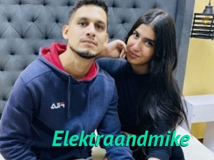 Elektraandmike