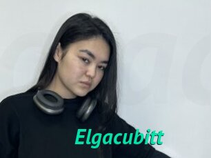 Elgacubitt
