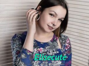 Elisecute