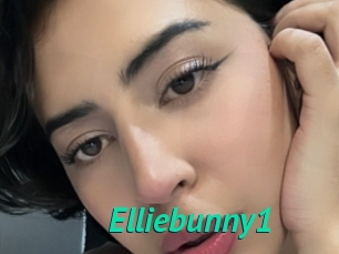 Elliebunny1