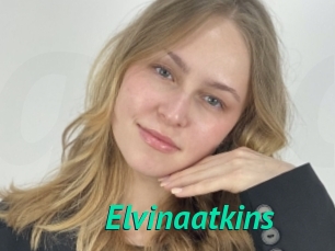 Elvinaatkins