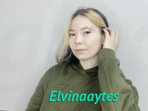 Elvinaaytes