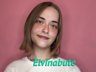 Elvinabute