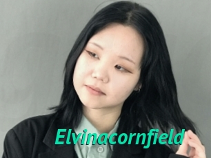 Elvinacornfield