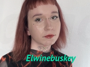 Elwinebuskey
