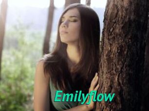 Emilyflow