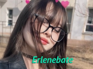 Erlenebate