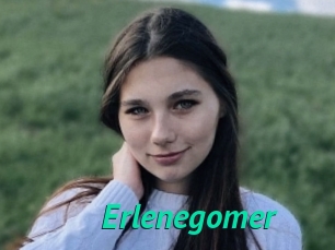 Erlenegomer