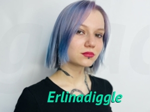 Erlinadiggle
