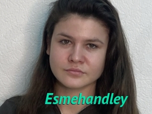 Esmehandley