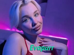 Evapurr