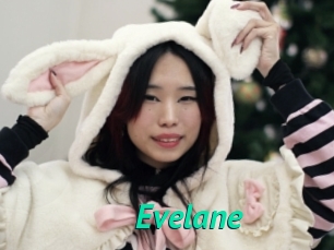 Evelane