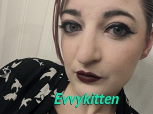 Evvykitten