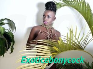 Exoticebonycock