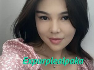 Expurplealpaka