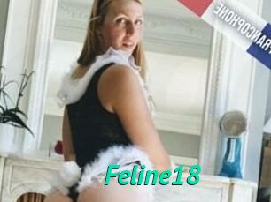 Feline18