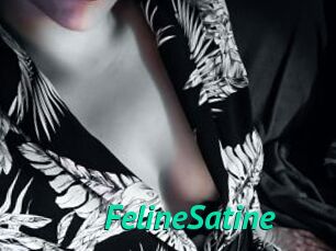 FelineSatine