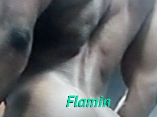 Flamin